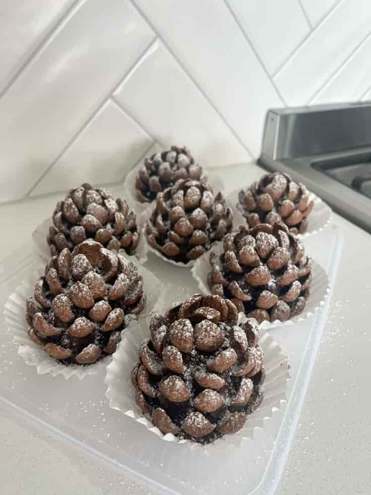 Truffes au chocolat, recouverte de pétales au chocolat, le tout en forme de pomme de pin .